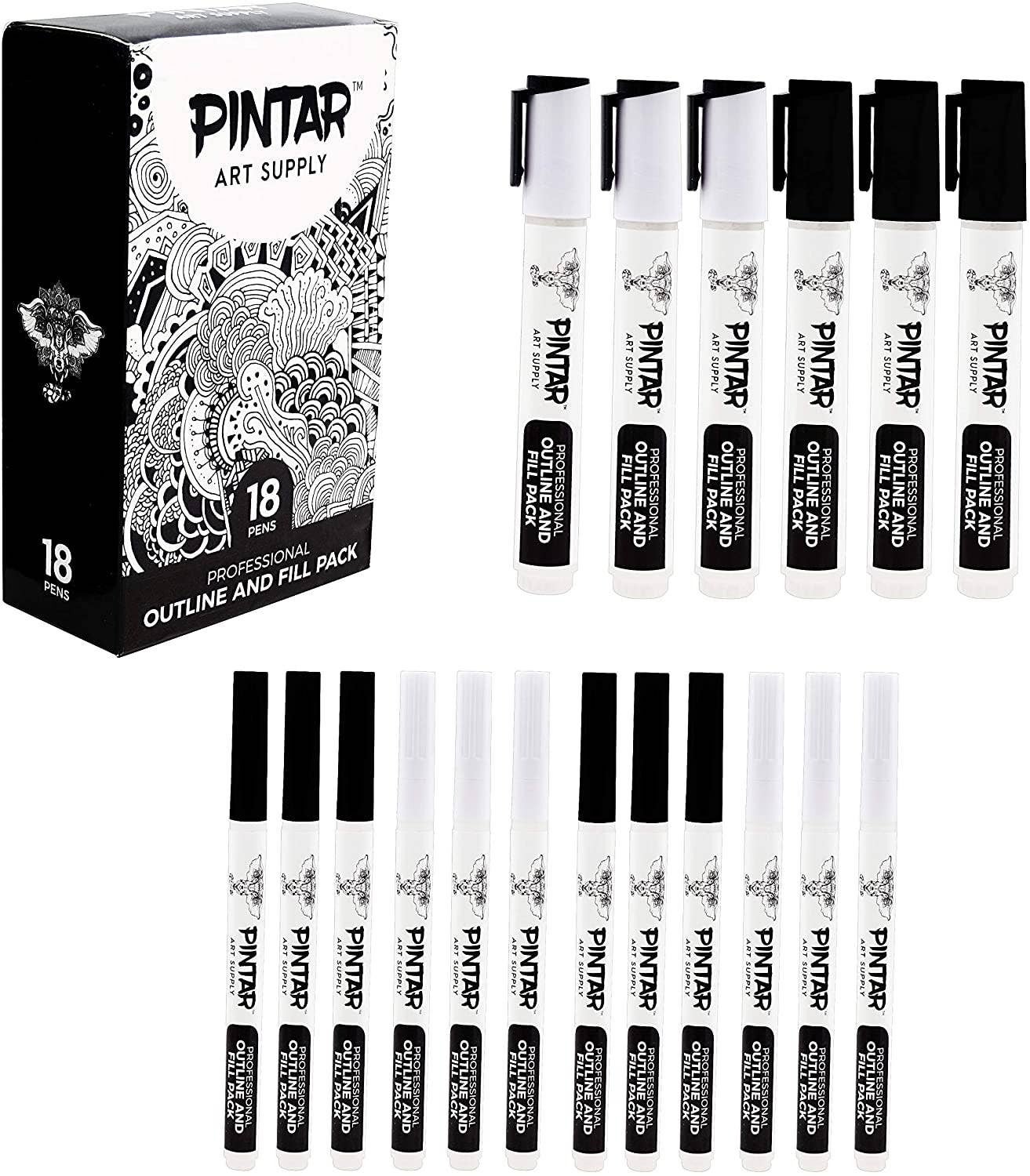 PINTAR Premium Acrylic Paint Pens - 1mm Fine Tip Pens For Rock